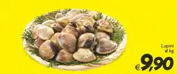 Iper Super Conveniente Lupini offerta