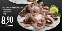Emisfero Ciuffone di totano gigante del Pacifico offerta