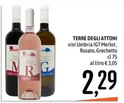 Emisfero Terre degli Attoni vini Umbria IGT Merlot, Rosato, Grechetto offerta