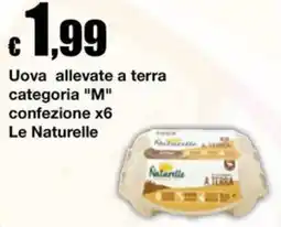Sì con te Market Uova allevate a terra Le Naturelle offerta