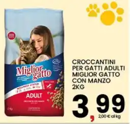 Interspar Crocchettini per gatti adulti Miglior Gatto con manzo offerta
