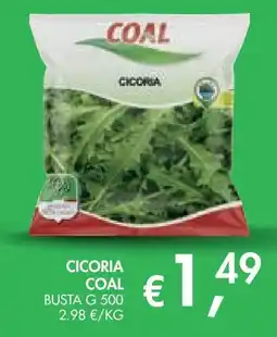 èccoMI Cicoria Coal offerta