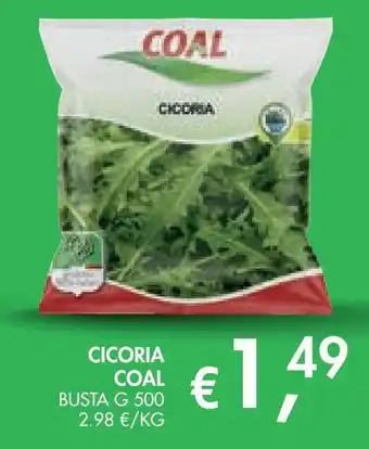 èccoMI Cicoria Coal offerta
