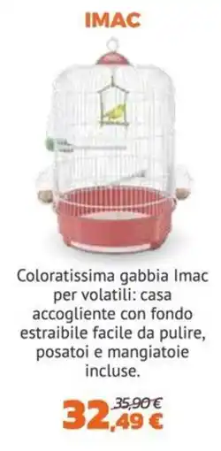 Joe Zampetti Gabbia Imac offerta