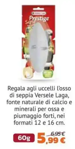 Joe Zampetti Ossso di seppia Versele Laga offerta