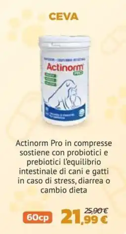 Joe Zampetti Actinorm Pro offerta