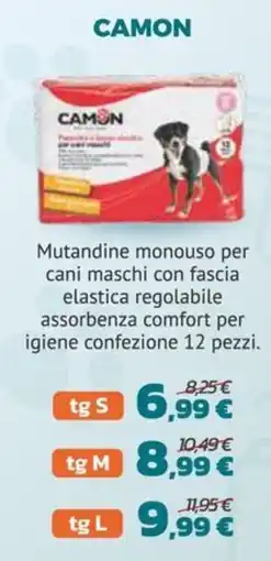 Joe Zampetti Mutandine monouso per cani maschi con fascia elastica regolabile offerta