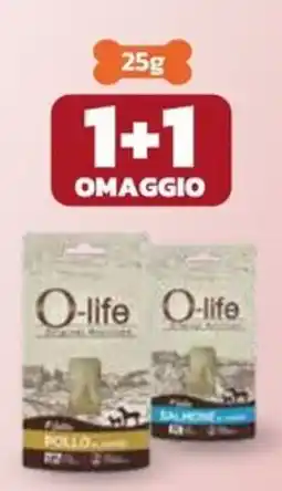 Joe Zampetti O-life Polpa di cozze offerta