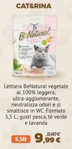 Joe Zampetti Lettiera BeNatural offerta