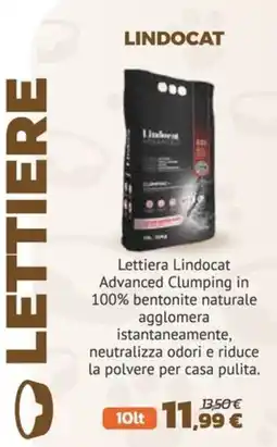 Joe Zampetti Lettiera Lindocat Advanced Clumping offerta