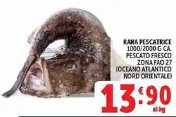 Deco Superstore Rana pescatrice offerta