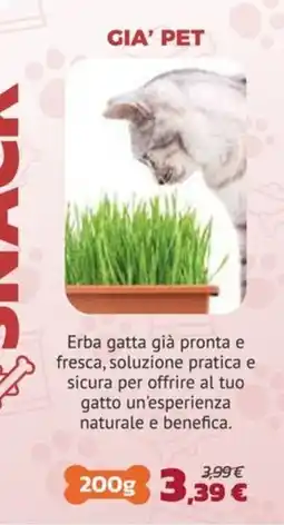 Joe Zampetti Erba gatta Gia' Pet offerta