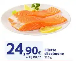 Sigma Superstore Filetto di salmone offerta