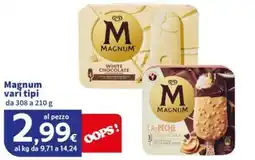 Sigma Superstore Magnum vari tipi offerta