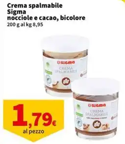 Sigma Superstore Crema spalmabile Sigma nocciole e cacao, bic colore offerta