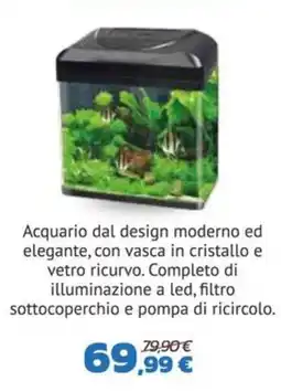 Joe Zampetti Acquario dal design moderno ed elegante offerta