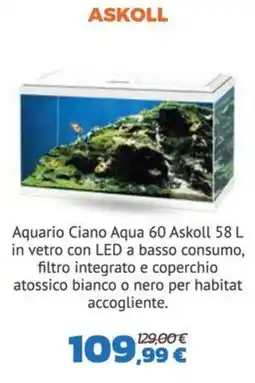Joe Zampetti Aquario Ciano Aqua 60 Askoll offerta