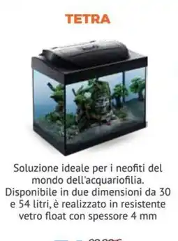 Joe Zampetti Tetra acquario offerta