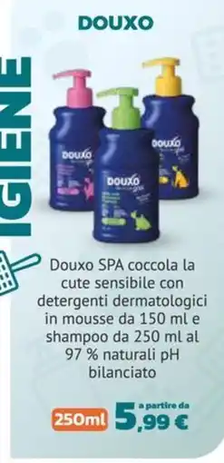 Joe Zampetti Douxo SPA offerta