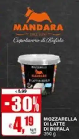 Il Gigante Mozzarella di latte di bufala offerta