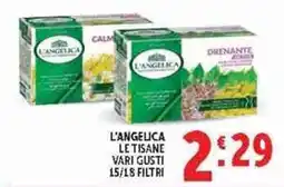 Deco Supermercati L'Angelica le tisane vari gusti offerta