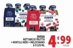 Deco Superstore Zuegg nettare di frutta offerta