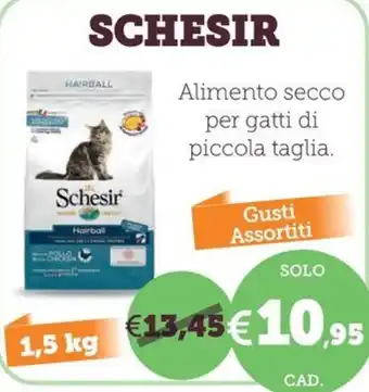 Alimento secco per gatti di piccola taglia