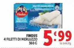 Deco Superstore Findus filetti di merluzzo offerta
