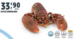 Deco Superfreddo Astice Americano offerta