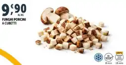 Deco Superfreddo Funghi porcini a cubetti offerta