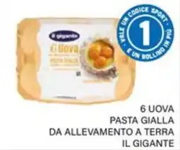 Il Gigante Uova pasta gialla da allevamento a terra il gigante offerta