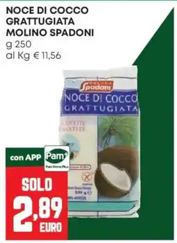 Pam Noce di cocco grattugiata Molino Spadoni offerta