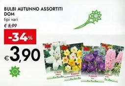 Bennet Bulbi autunno assortiti offerta