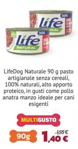Joe Zampetti LifeDog Naturale offerta