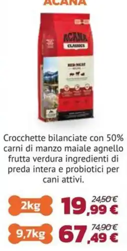 Joe Zampetti Acana Classics Red Meat offerta
