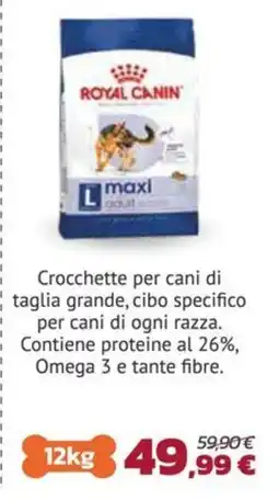 Joe Zampetti Royal Canin maxi adult offerta