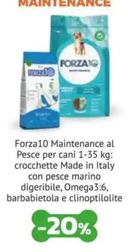 Joe Zampetti Forza10 Maintenance al Pesce per cani offerta