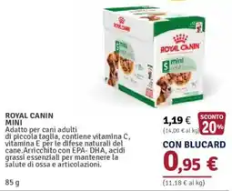 Il Gigante Royal Canin Mini offerta