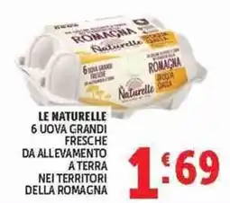Deco Superstore Le Naturelle 6 uova grandi offerta