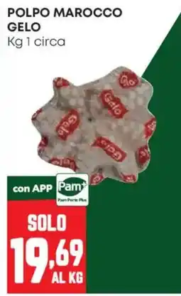 Pam Polpo marocco gelo offerta