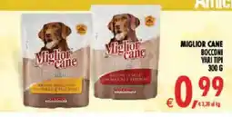 Deco Iperstore Miglior cane Bocconi offerta