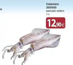 Docks Cash&Carry Calamaro offerta