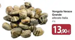Docks Cash&Carry Vongola Verace Grande offerta