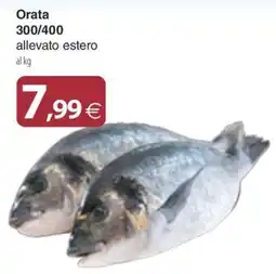Docks Cash&Carry Orata offerta
