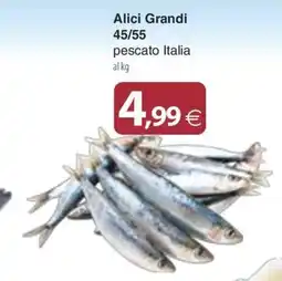 Docks Cash&Carry Alici Grandi offerta