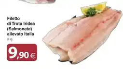 Docks Cash&Carry Filetto di Trota Iridea (Salmonata) offerta