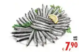 Deco Iperstore Alici offerta
