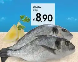 Bennet Orata offerta