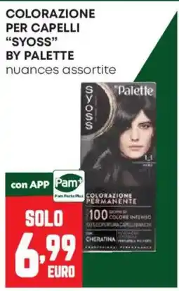 Pam Colorazione per capelli Syoss by Palette offerta