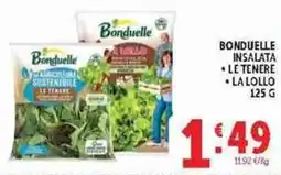 Deco Supermercati Bonduelle insalata le tenere offerta